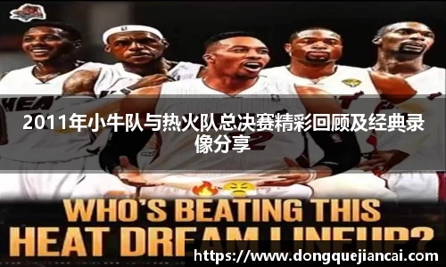2011年小牛队与热火队总决赛精彩回顾及经典录像分享