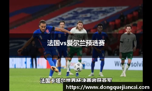 法国vs爱尔兰预选赛
